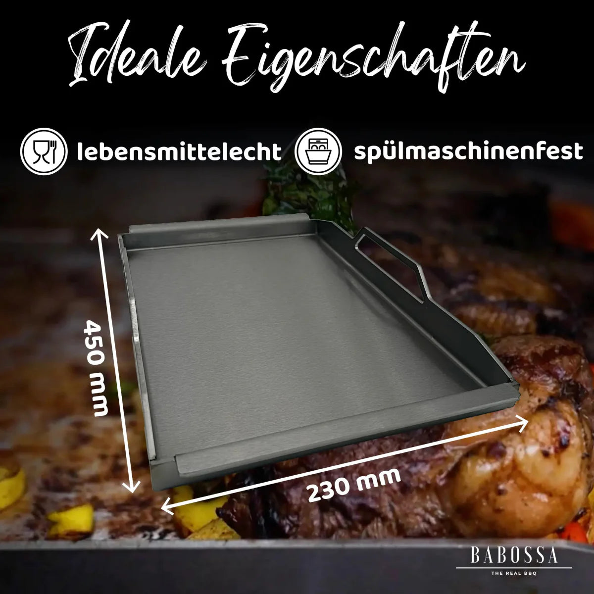 Babossa Einsatzpfanne | Rösle Videro, Allflame & Epicflame | 23 x 45 cm
