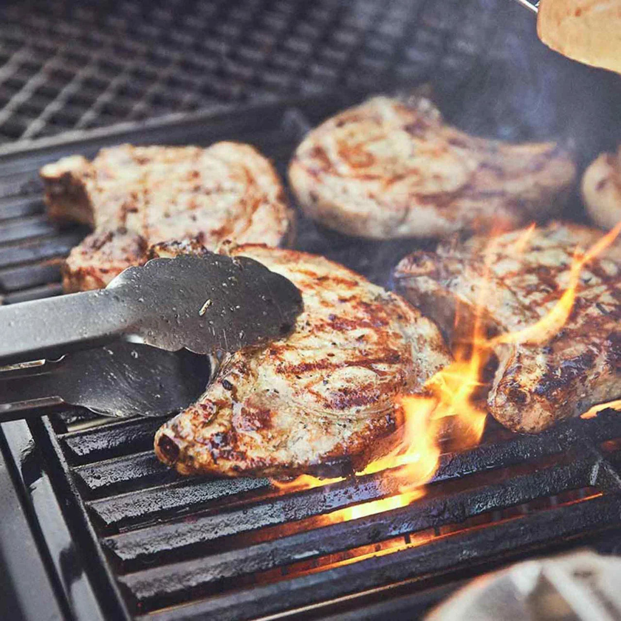 Burnhard Grillrost Gusseisen FRED Jr.